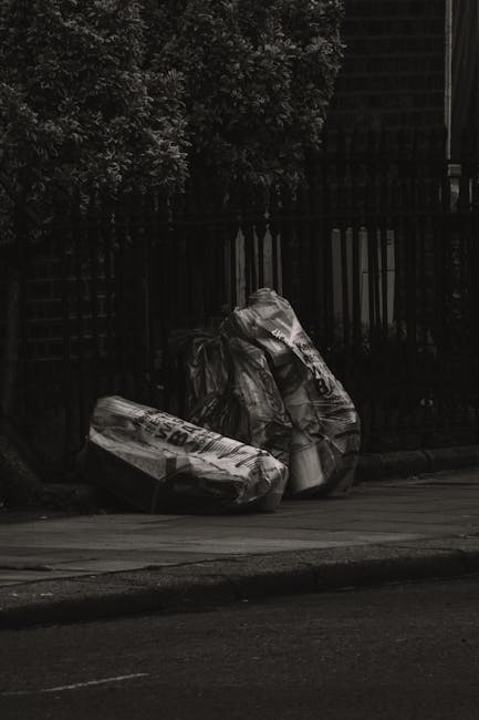 Three large black plastic rubbish bags and a cardboard box are placed on the pavement near a black metal fence, with a background of dense greenery and trees. The bags appear to contain waste material